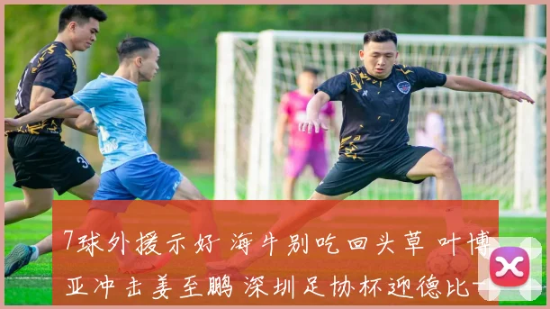 7球外援示好 海牛别吃回头草 叶博亚冲击姜至鹏 深圳足协杯迎德比