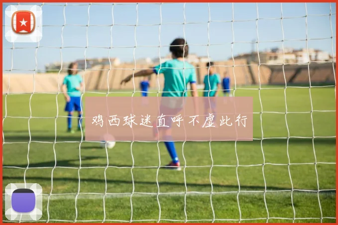 鸡西球迷直呼不虚此行