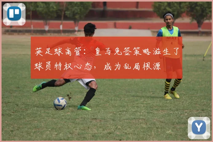 英足球高管：皇马免签策略滋生了球员特权心态，成为乱局根源